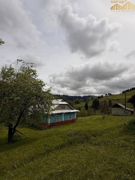 С. Стебні. Господарство на земельній ділянці площею 43сотих.