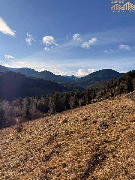 С. Дземброня. Земельна ділянка площею 0,5га.