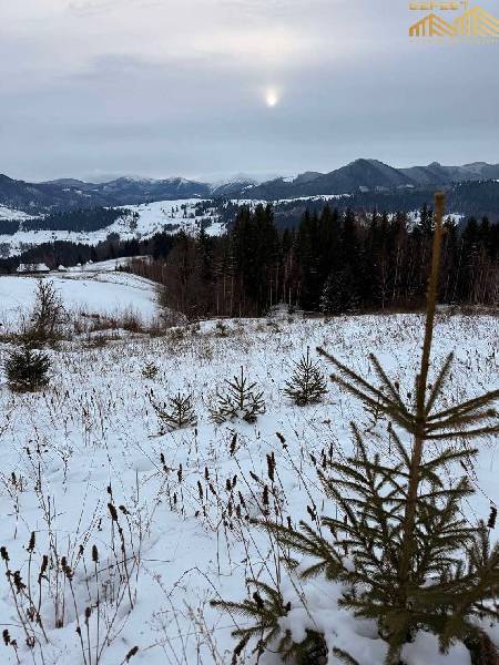 С. Ільці. 45 сотих. Чорногірський хребет. Поділ